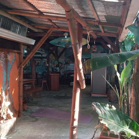Osa Surf House Ξενοδοχείο Puerto Jiménez Εξωτερικό φωτογραφία
