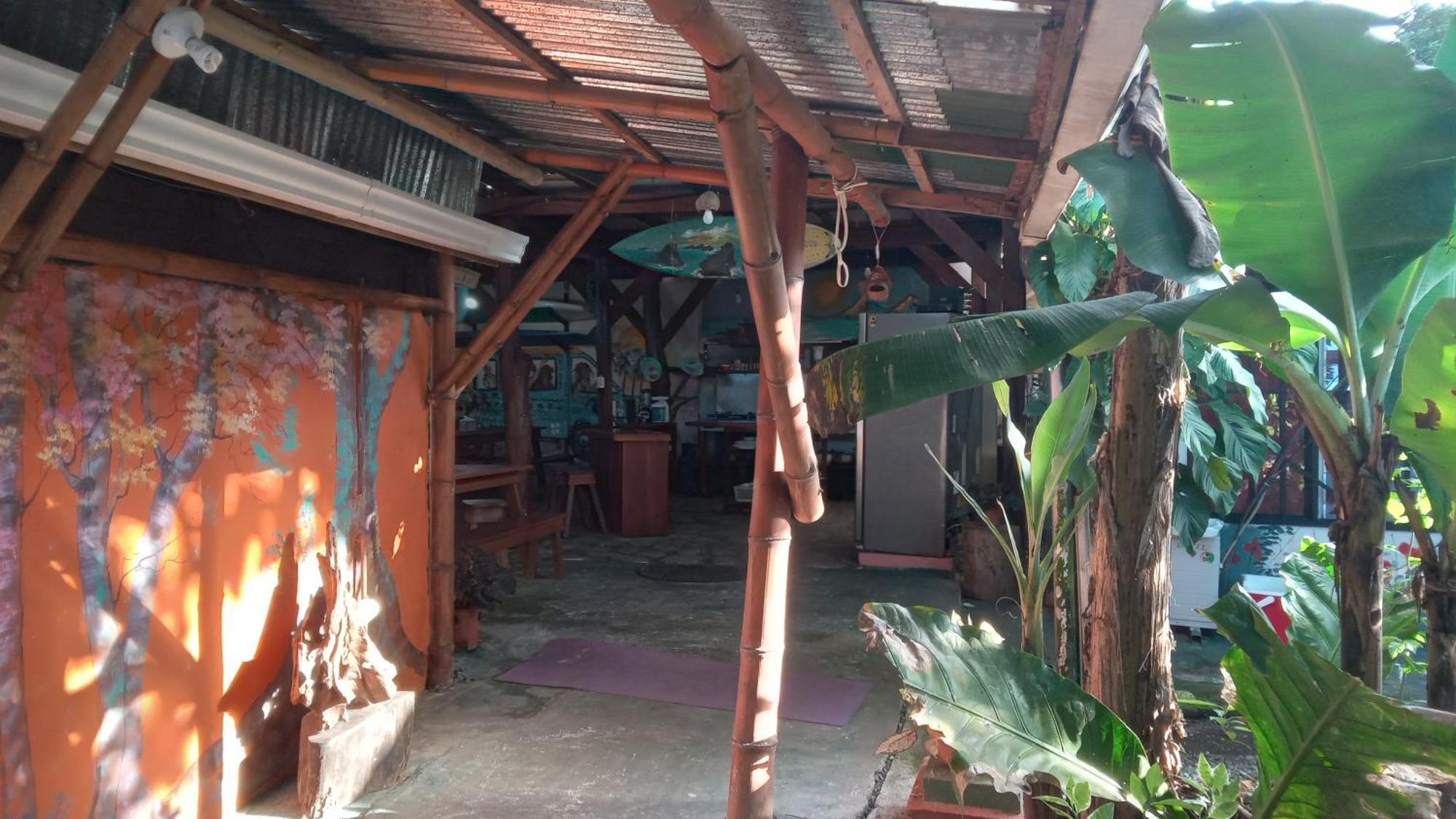 Osa Surf House Ξενοδοχείο Puerto Jiménez Εξωτερικό φωτογραφία